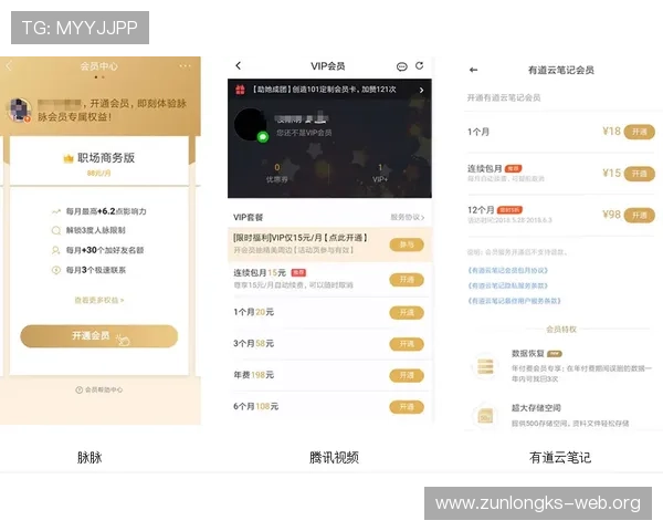 Z6备用会员功能全面解析助你充分利用会员特权提升游戏竞争力